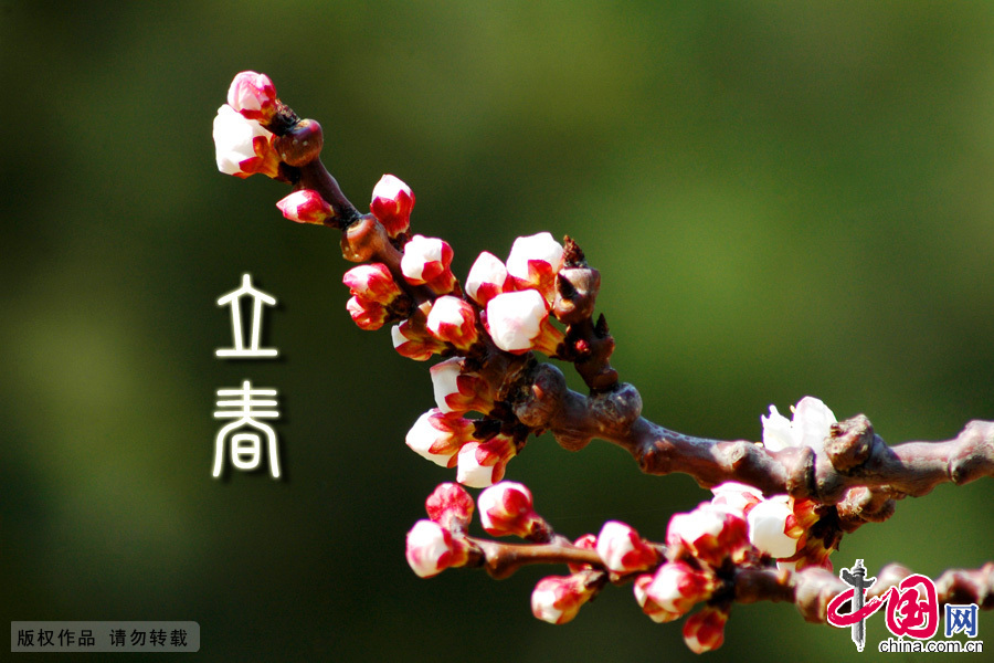 2012年2月4日立春。中国网图片库 黄志斌摄 2012年2月4日立春。中国网图片库 黄志斌摄