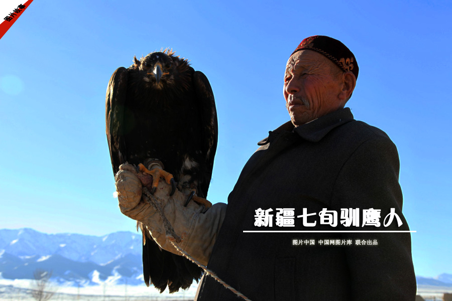 新疆七旬驯鹰人 bt365备用网站 中国网图片库 联合出品 新疆七旬驯鹰人 bt365备用网站 中国网图片库 联合出品